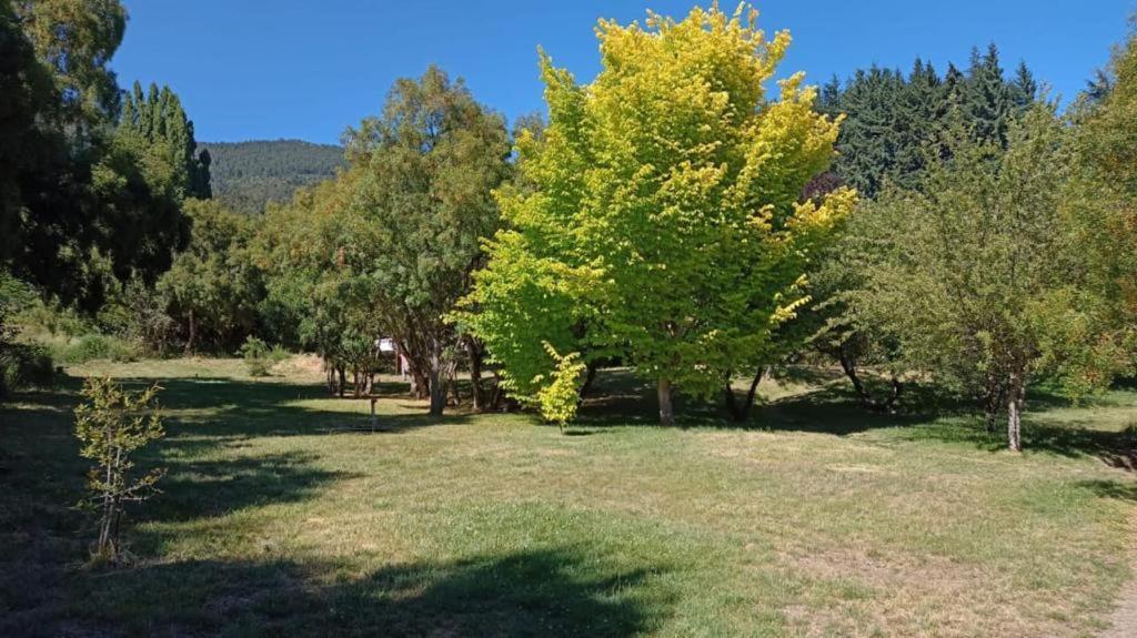 Rupu Pehuen Aparthotel San Carlos de Bariloche Exteriör bild